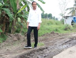 Presiden Jokowi Anggarkan Rp800 Miliar Disiapkan untuk Perbaiki 15 Ruas Jalan Daerah di Lampung