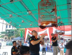 Hari Bhayangkara Ke-77, Polda Lampung Gelar Lomba Burung Kicau