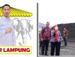 Ketua DPC LLI Kota Balam Pertanyakan Komitmen dan Konsistensi Walikota Terhadap Perusahaan Stocpile