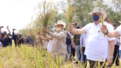 Nilai Tukar Petani di Lampung Membumbung Tinggi di Era Gubernur Arinal