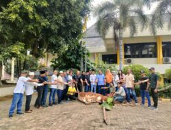 Idul Adha Bernilai, Pengurus AMPG ber Qurban Sapi