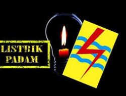 Mencuat Isu Tak Sesuai Spesifikasi, Komda PKK Minta Proses Pengad Alat Penangkal petir PLN diusut
