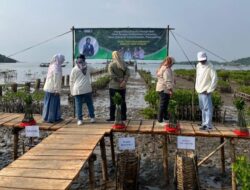 Unila Gelar Ekspedisi Replantasi Mangrove dalam Peringatan Hari Mangrove Sedunia