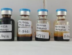 Tim PKM-RE Dipterocarpaceae Inovasi Alternatif Bahan Obat Antidiabetes dan Antikanker dari Kulit Kayu