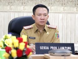 Inflasi Lampung Terkendali, Sinergi Daerah Jadi Kunci Stabilisasi Harga Pangan