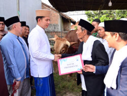 Dari Istana untuk Rakyat, Bupati Egi Salurkan Bantuan Sapi Kurban Presiden