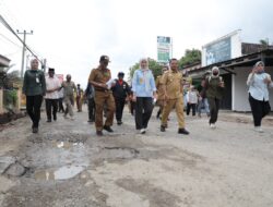 Wagub Jihan Nurlela Tinjau Perbaikan Ruas Jalan Pringsewu–Pardasuka,  Pastikan Akses Transportasi tetap Aman dan Lancar