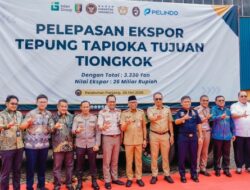 Lampung Ekspor Perdana 3.330 Ton Tapioka ke Tiongkok, Perkuat Hilirisasi Singkong Nasional