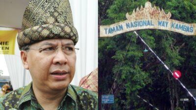 Alzier Murka! Minta Way Kambas Dievaluasi Total Usai Kematian Gajah Indra