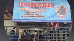 Radzasya Fish Kemiling Tawarkan Ikan Segar, Bisa Diantar Langsung ke Rumah Warga