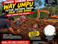 Tutur Tewas Tertimbun Tanah Saat Cari Emas di Way Umpu, Aktivitas PETI Pakai Excavator Disorot